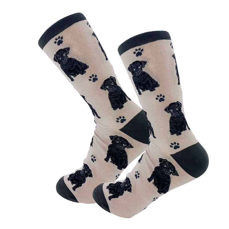 Pug Dog Socks - Tan