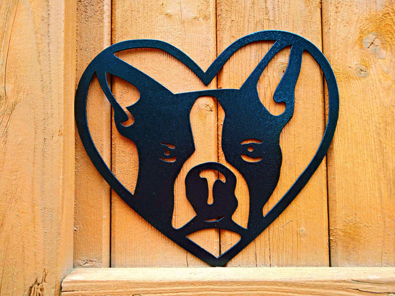Boston Terrier in Heart