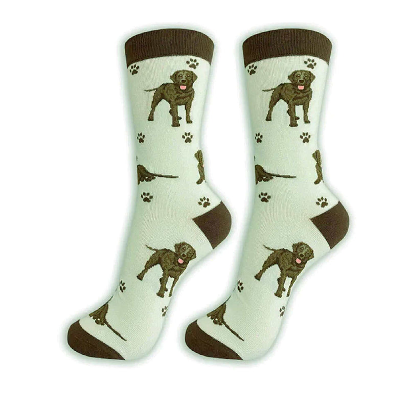 Chocolate Labrador Dog Socks