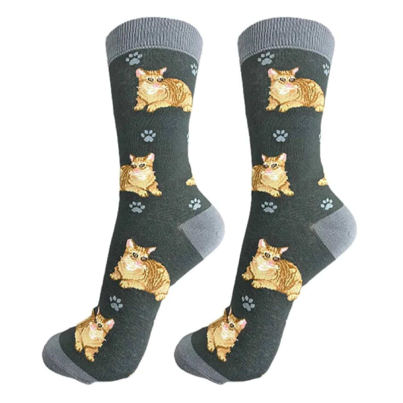 Orange Tabby Cat Socks